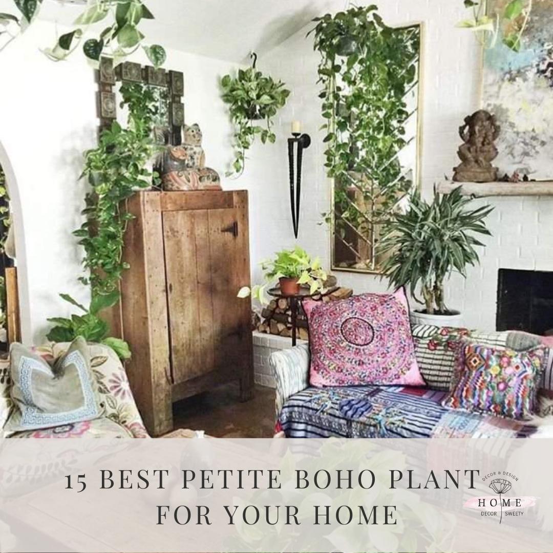 15 Best Petite boho plant for your Interior Design