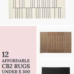 12 Affordable Cb2 Rugs under $ 300